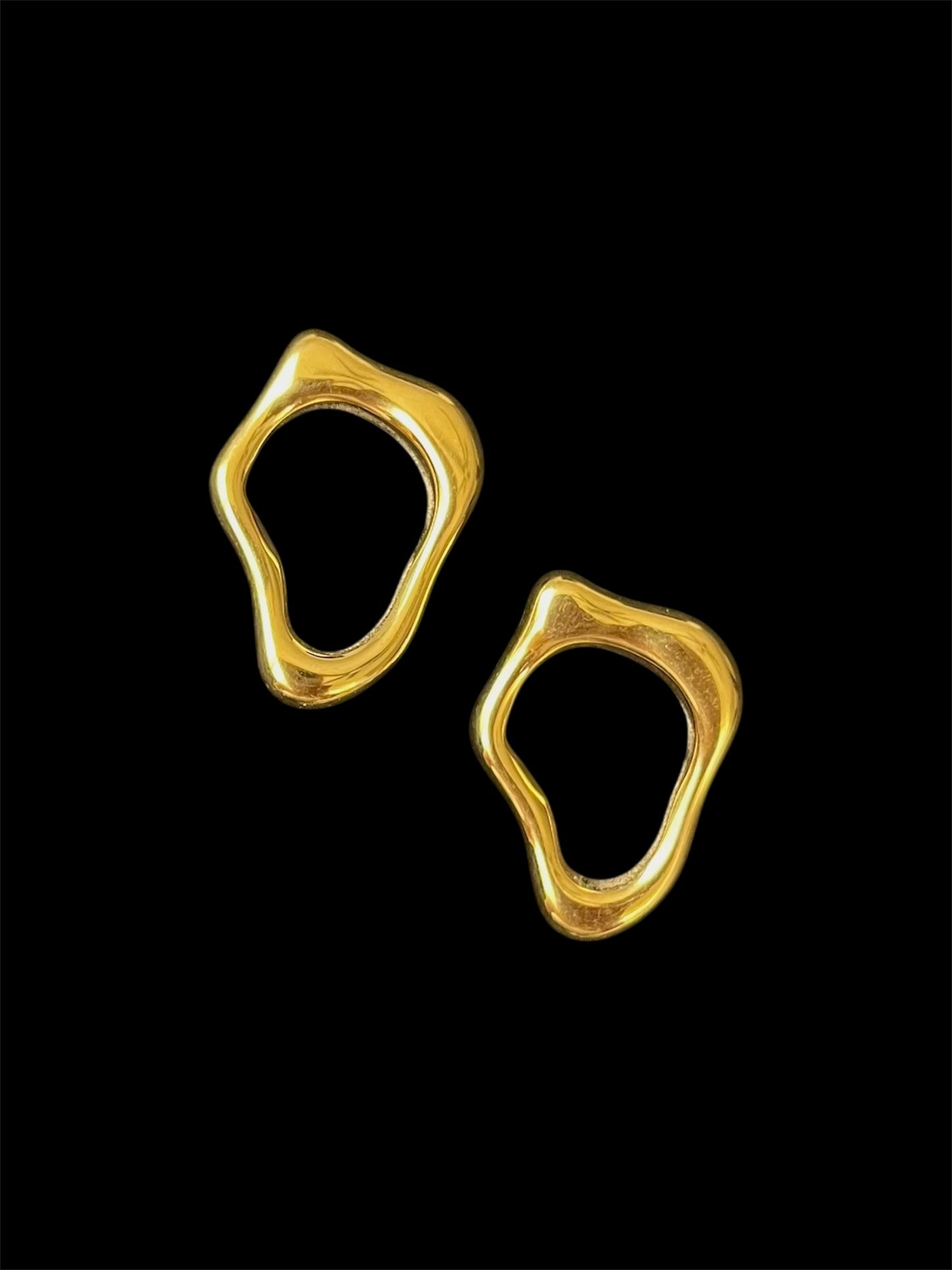 emi earrings✨