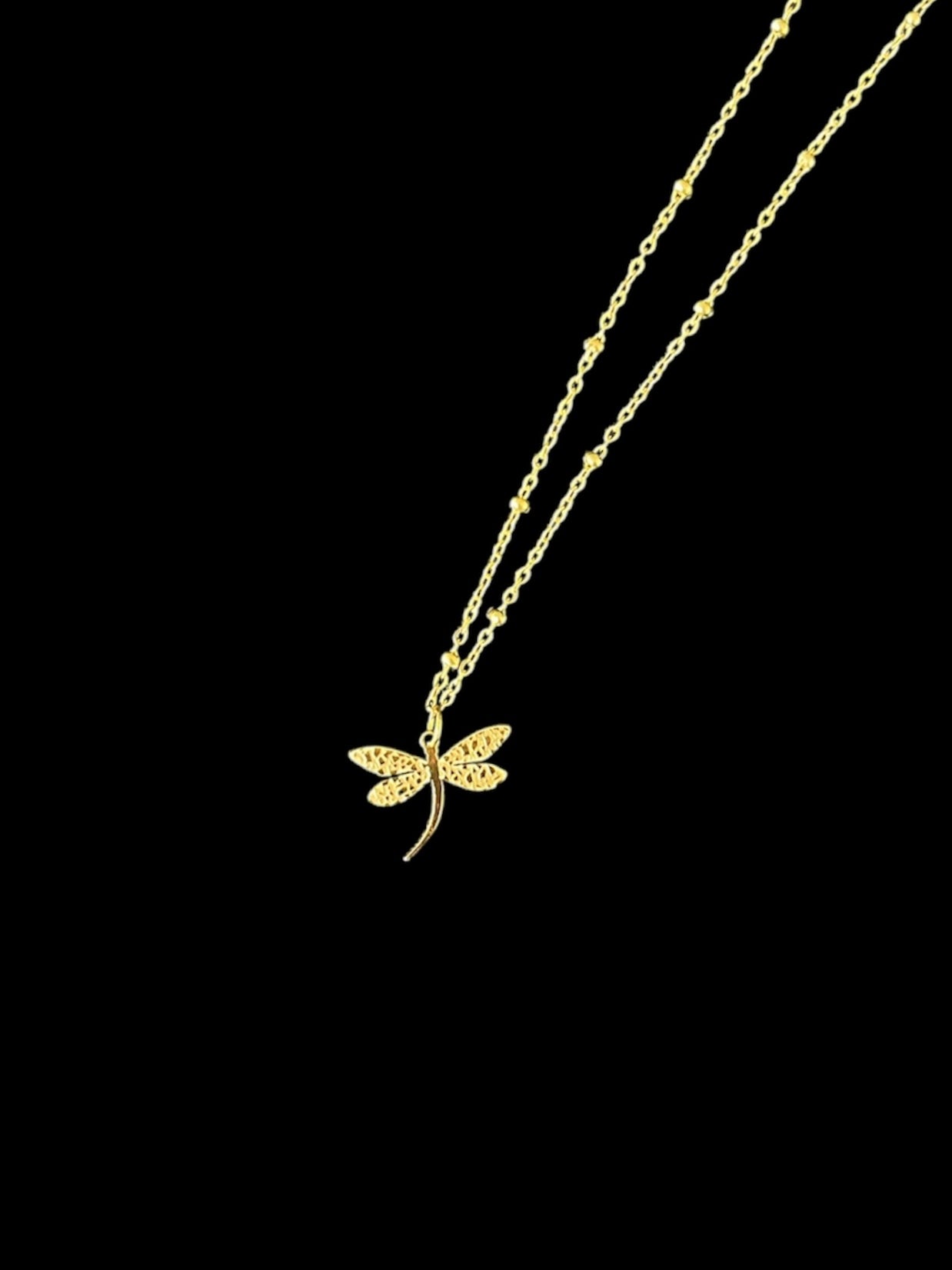 libélula necklace✨