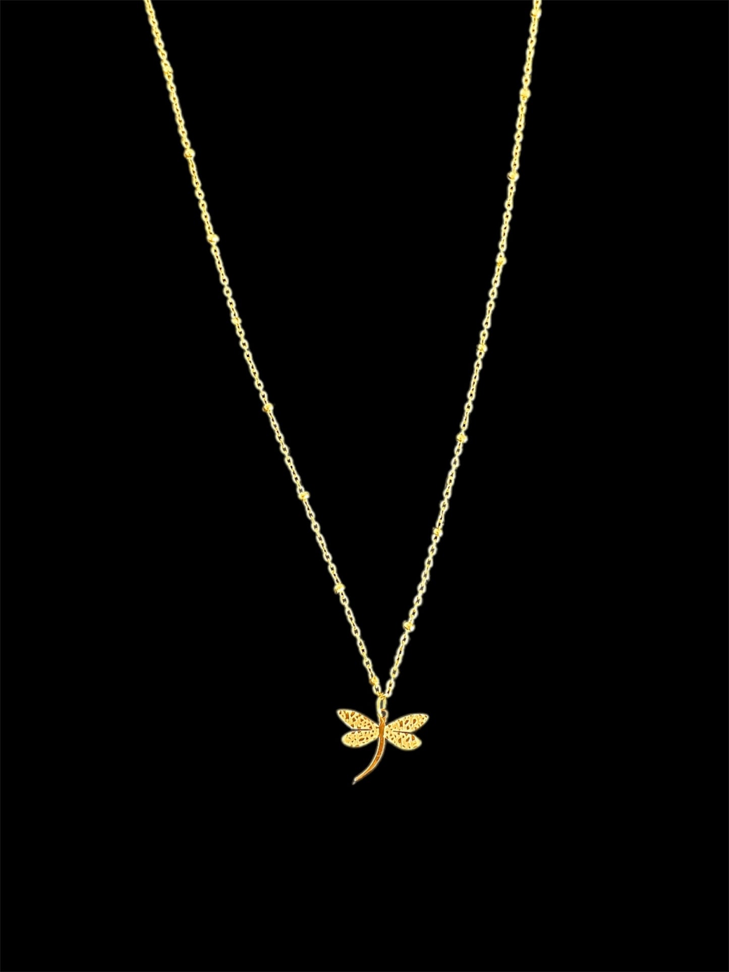 libélula necklace✨